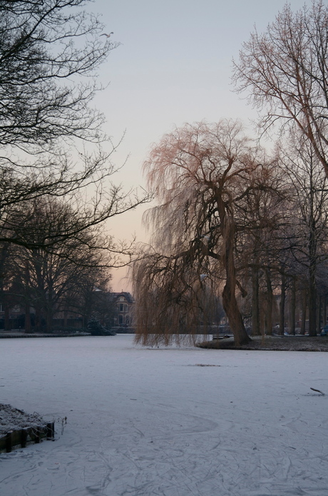 Winter in Woerden