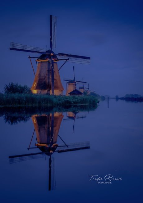 Kinderdijk in het blauwe uur. 