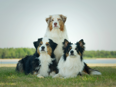 Familieportret