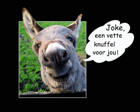 Speciaal voor Joke