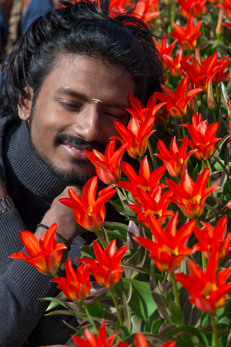 Indiër verliefd op tulpen