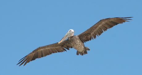 In de lucht