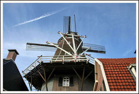 meppeler molen