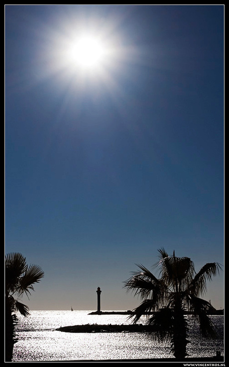 Cannes Sunlight