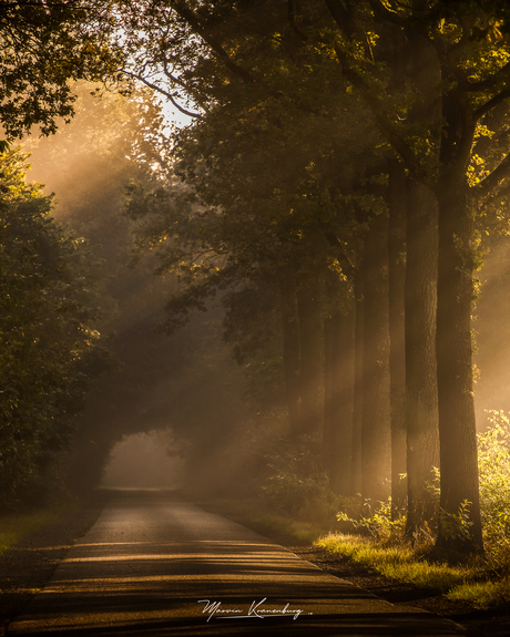 Tunnel of gold