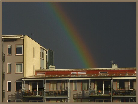 De regenboog