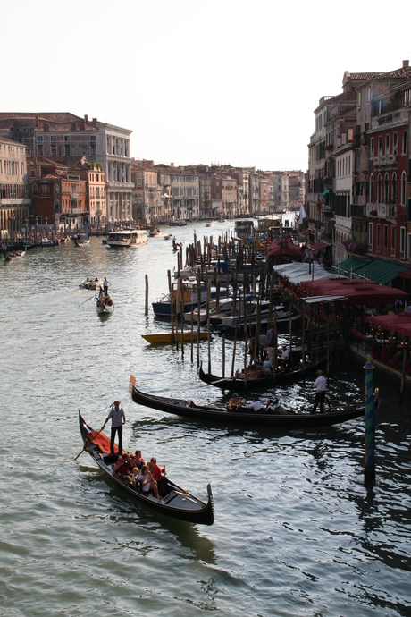 Rialto brug Venetië