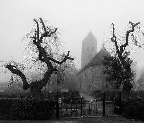 Vitus Kerk in de mist. (crop)
