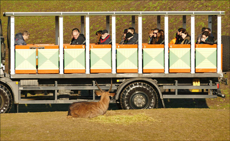 wat was het nu:.....................