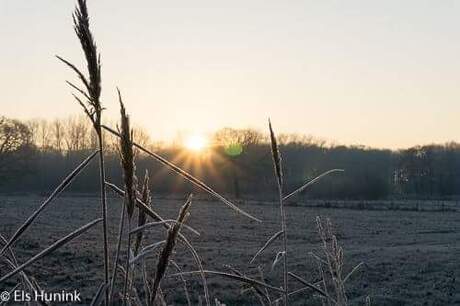 Zonsopkomst