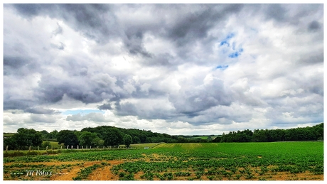 Wolken