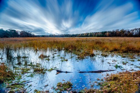 Leersumse plassen