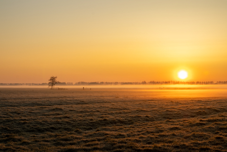 Mistige zonsopkomst boven het weiland