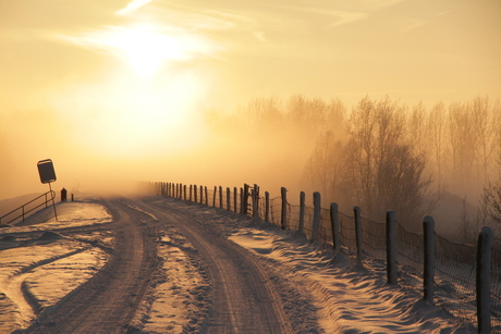 Zon, sneeuw, mist