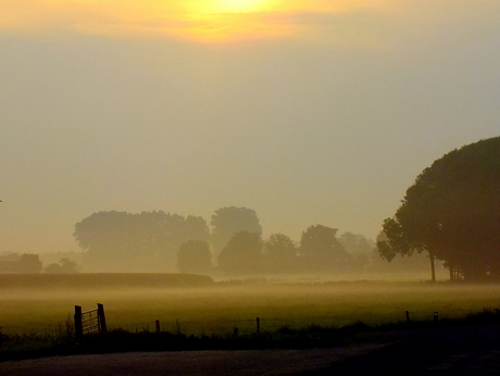 Krachtiger dan de mist....is de zon.