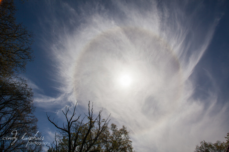 Halo.