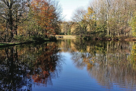 Vijver in Hoogvliet