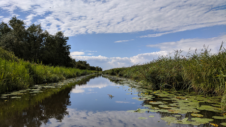 Wolkenvelden boven de Weerribben