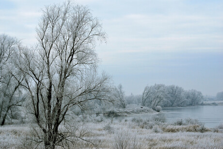 winter tafereel in de Ooij