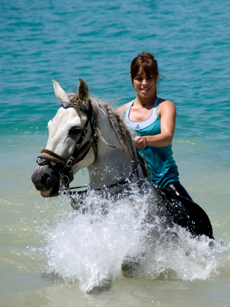 Paard te water