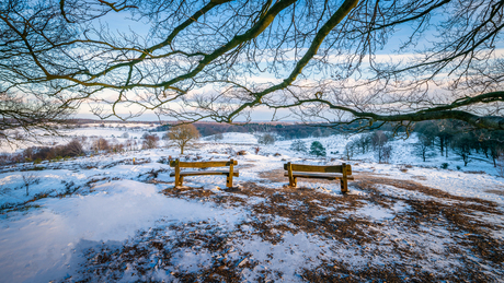 View over a snowy Posbank - the Netherlands