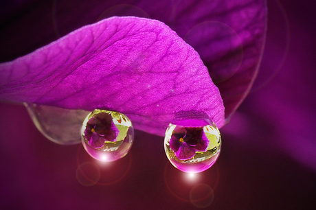 Waterdrops and sunshine