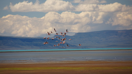 El Calafate Argentinie