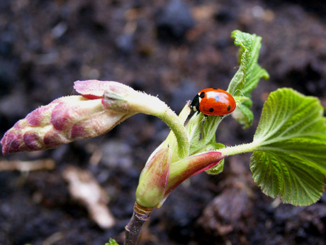 Mijn tweede macro!!