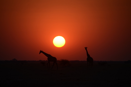 Botswana zonsondergang
