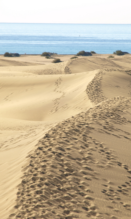 voetstappen in het zand