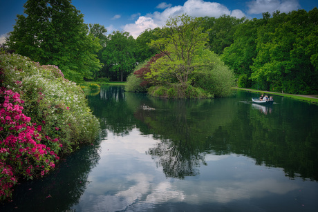 Natuurgebied bij St. Oedenrode