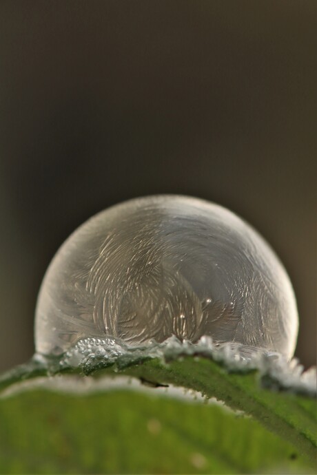 bevroren zeepbel 3