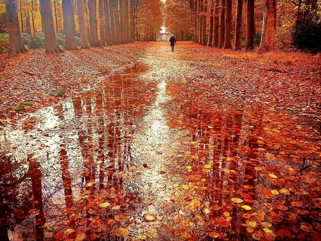 Wandeling 