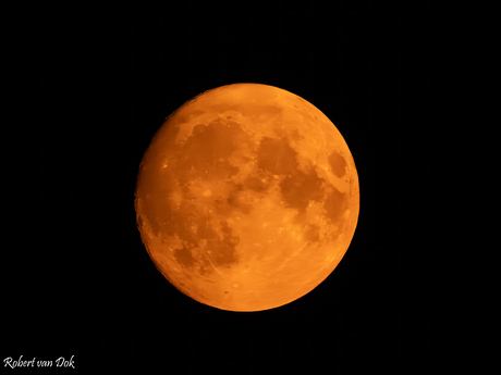 Oranje boven