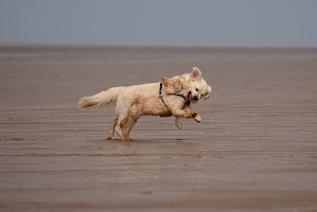 Stoeien aan zee