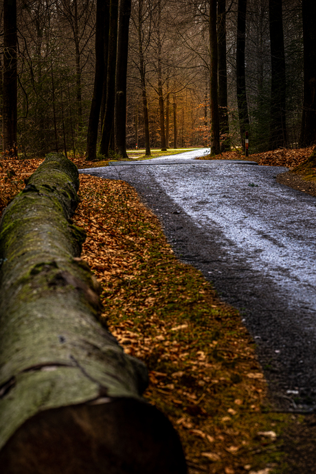 licht val  in de verte 