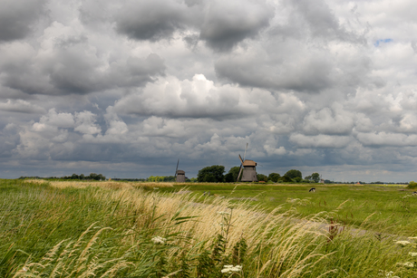 Meedoen aan inzending foto over landschap