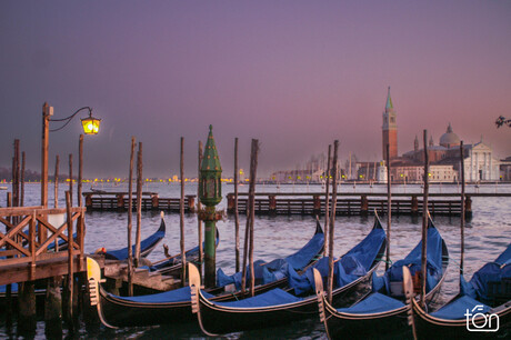 Venezia