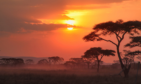 African Sunset