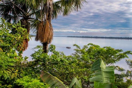 Rio Negro brazil