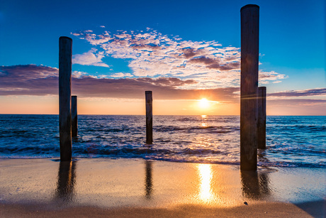 Tropisch Petten aan zee