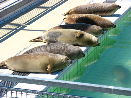 Lig jij ook zo lekker?