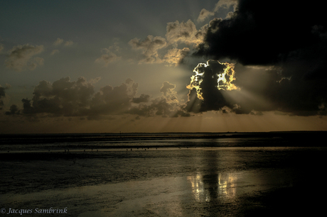 Licht en zee