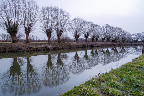 Aan de Dender in Idegem (België)