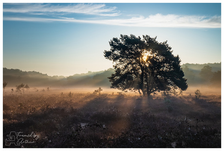Zonsopkomst heide landschap Udensedreef