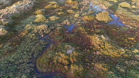 Duinvallei Terschelling