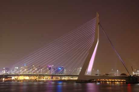 Erasmusbrug Rotterdam