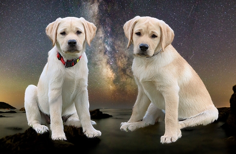 twee dames onder de sterren