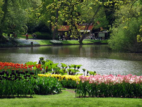 Keukenhof