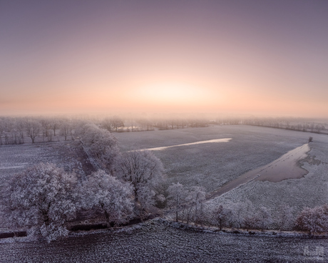 Frosty morning